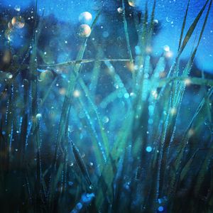 圣域龙灵大长腿美图
