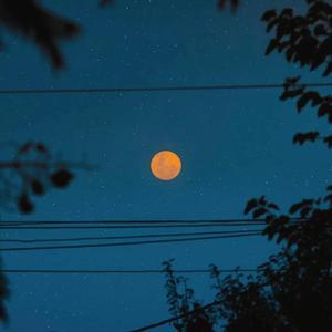 圣域龙灵大长腿美图
