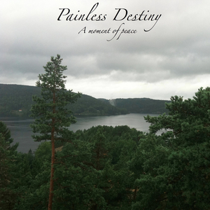 圣域龙灵大长腿美图
